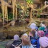 Wycieczka przedszkolaków do ZOO