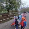 Wycieczka przedszkolaków do ZOO