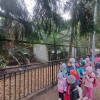 Wycieczka przedszkolaków do ZOO