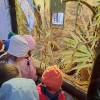 Wycieczka przedszkolaków do ZOO