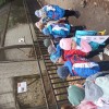 Wycieczka przedszkolaków do ZOO