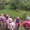 Wycieczka przedszkolaków do ZOO