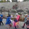 Wycieczka przedszkolaków do ZOO