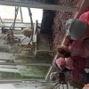 Wycieczka przedszkolaków do ZOO