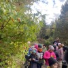 Wycieczka do lasu