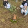 Mikołajkowa Gra Terenowa